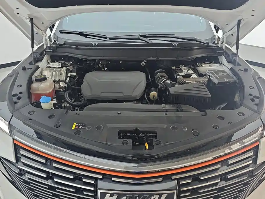 Haval Shenshou 2023 2022 1.5T Smart Enjoyment Edition