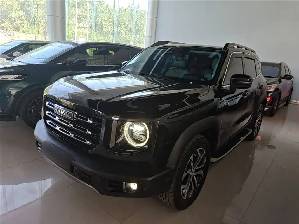 Haval Big Dog 2021 1.5T DCT 2WD Malinois - Wangcai Edition