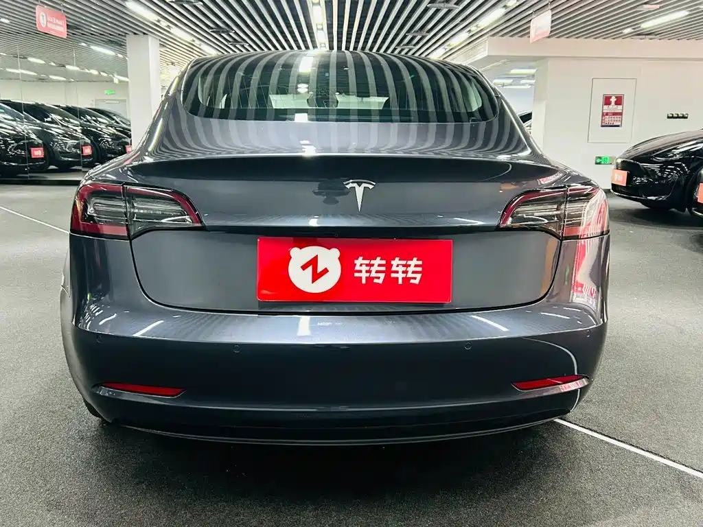 Tesla Model 3 (Import) 2019 2019 Long Range RWD Version