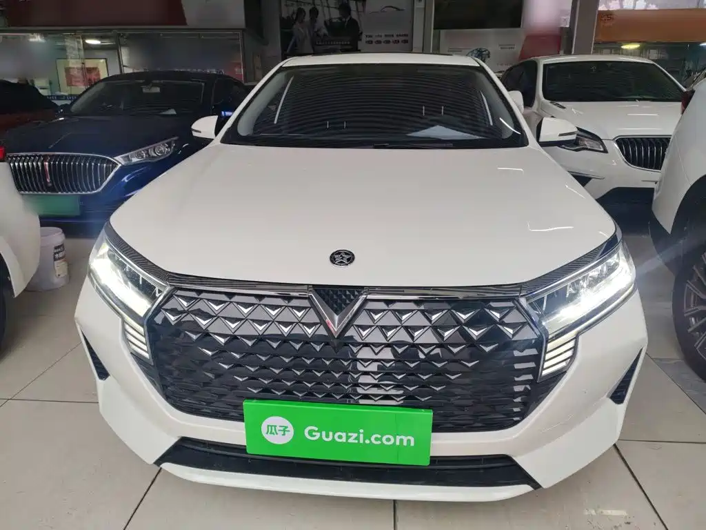 2025 Venucia D60