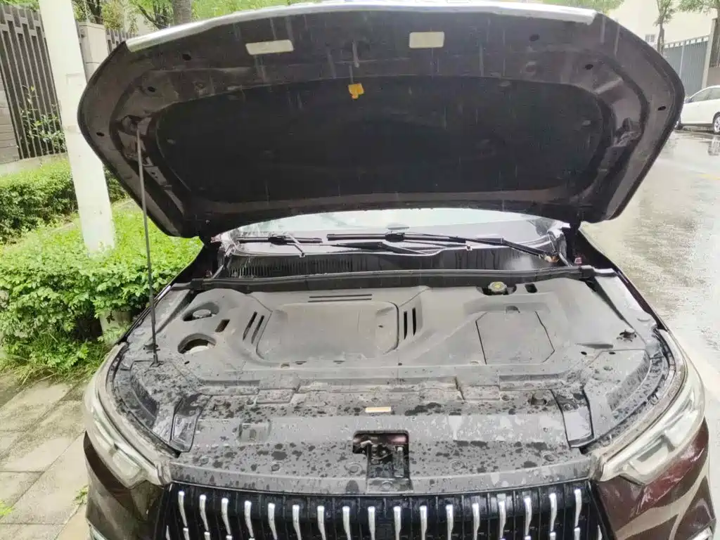 2018 Leopaard Mattu