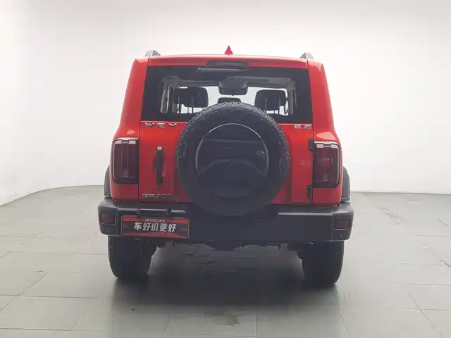 Tank 300 2021 Off-road Version 2.0T Conqueror — фото 4
