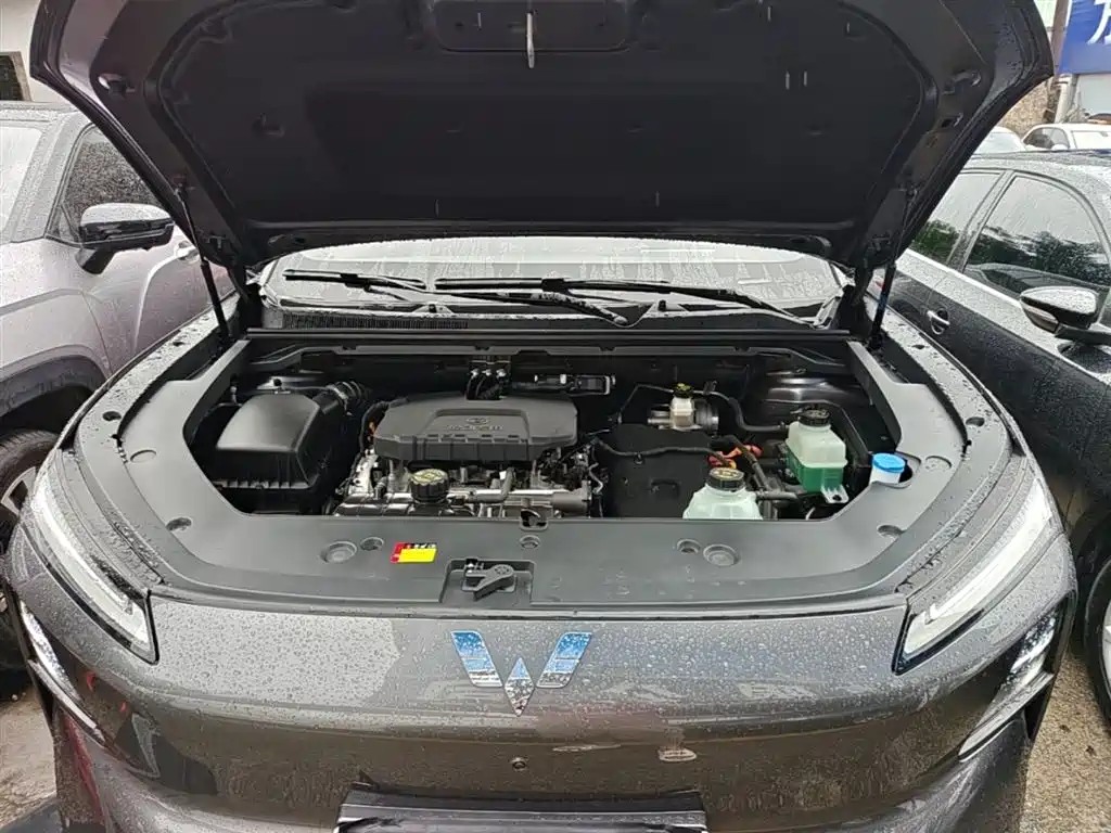 Wuling Motors Wuling Xingguang S 2024 2024 130km Flagship Model
