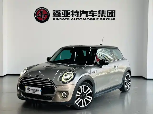mini 