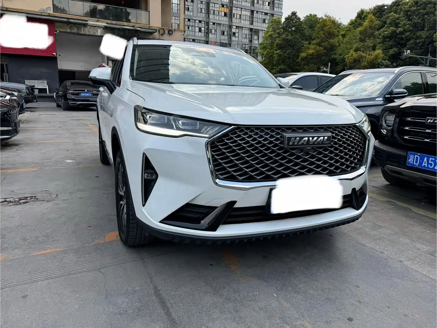 HAVAL H6