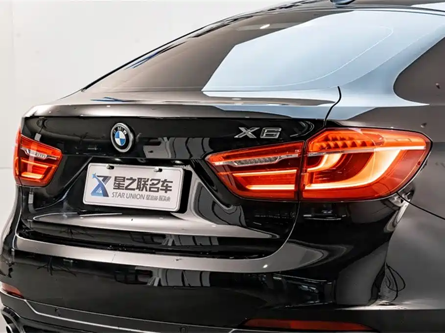 BMW X6 2015 xDrive35i Leading Type фото 9