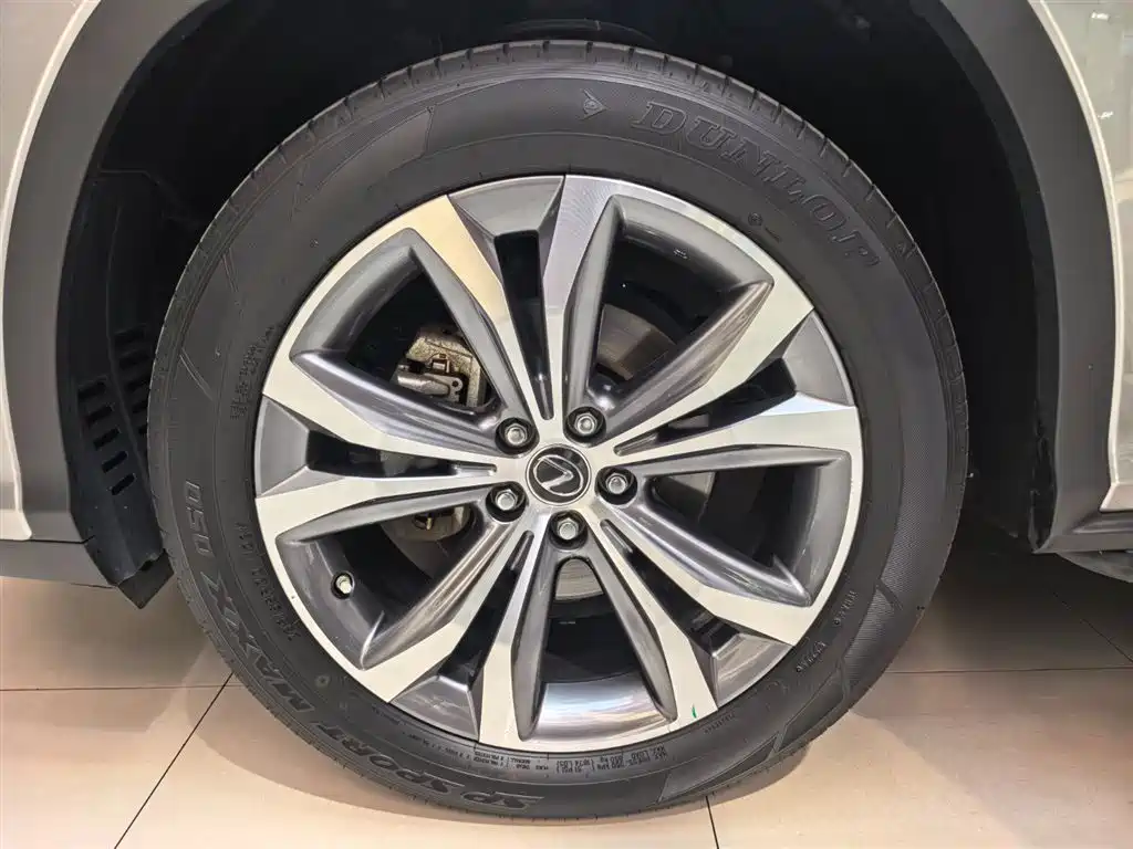 Фото 22 - Lexus RX