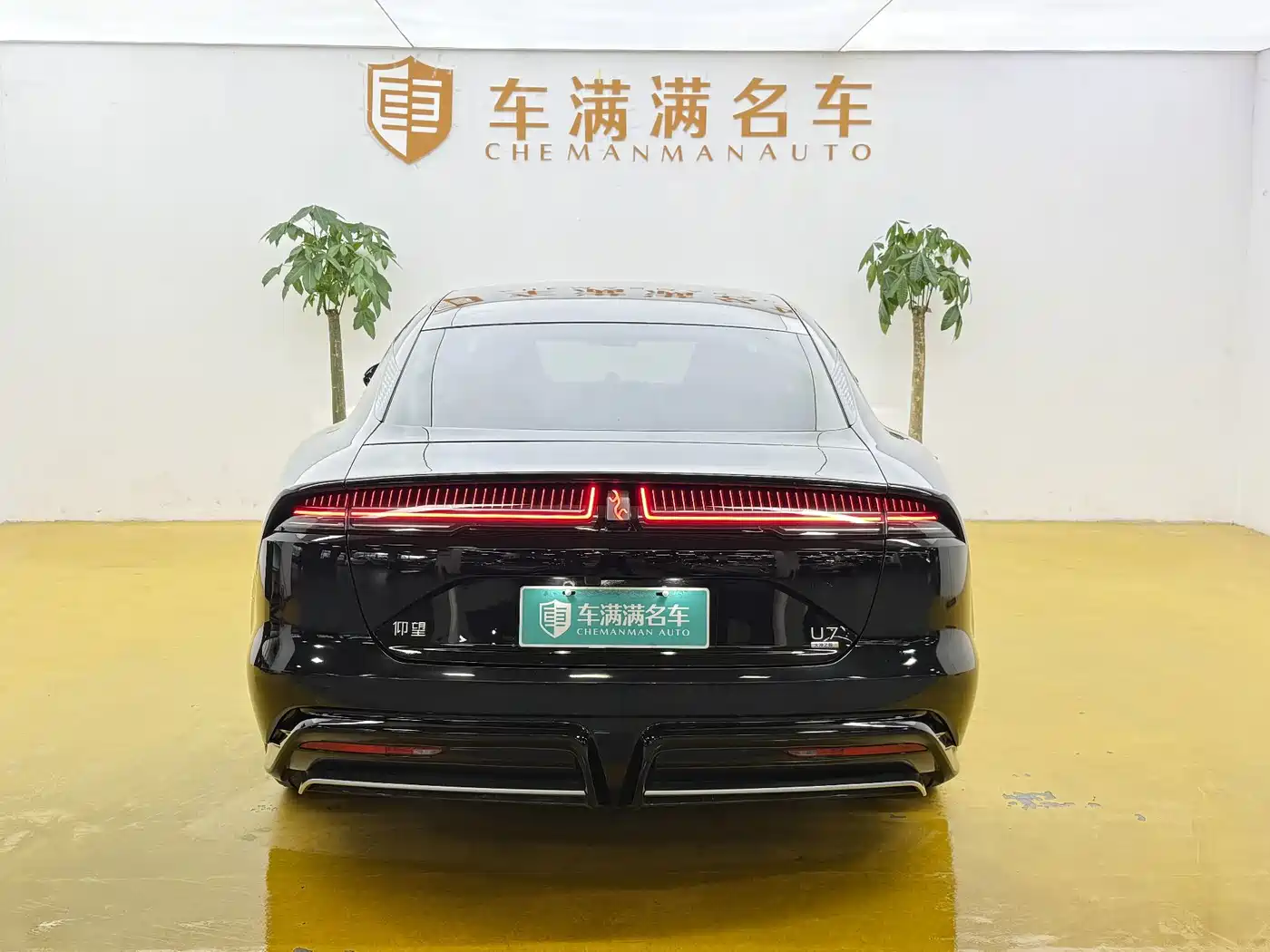 Yangwang U7 2025 2025 Model PHEV 5-Seat Luxury