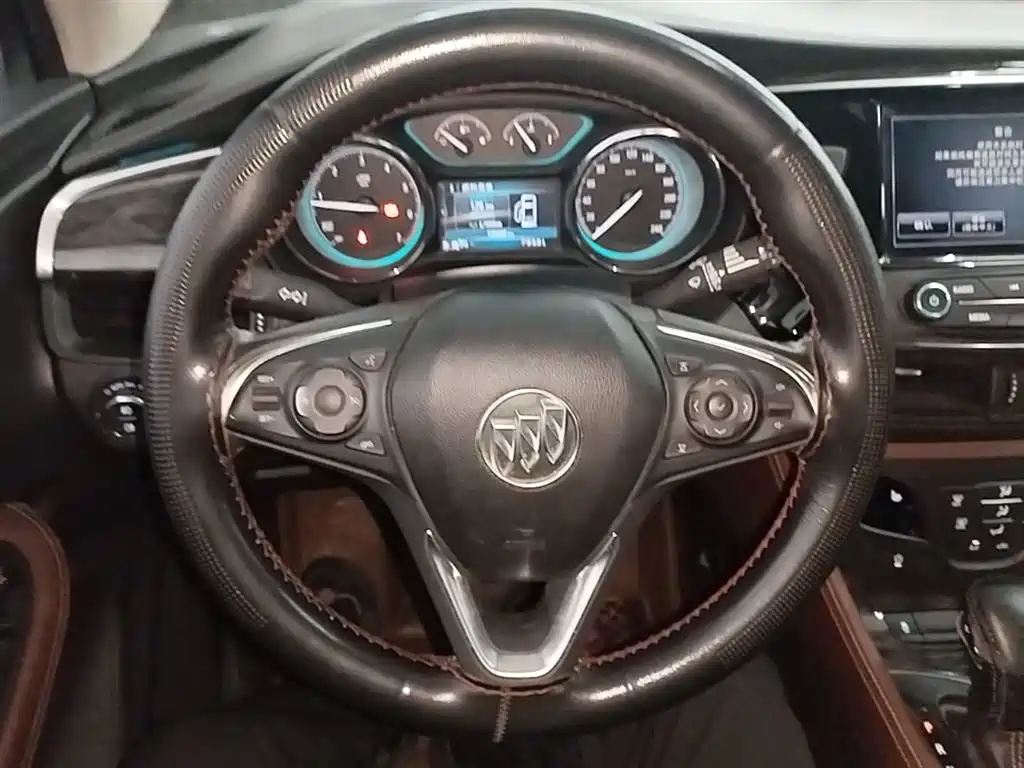 Buick Envision Plus 2015 20T AWD Luxury фото 11