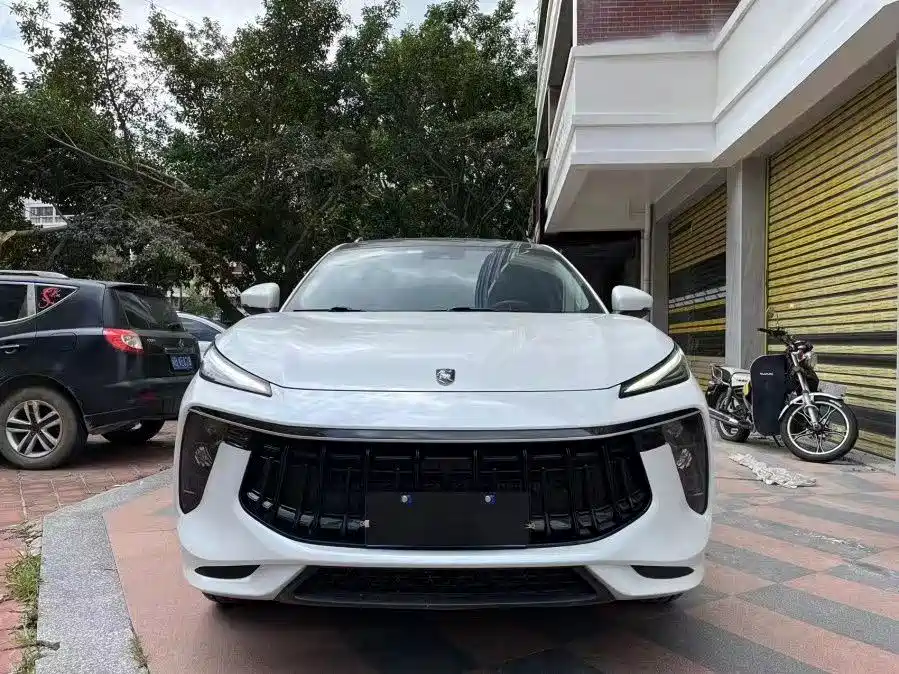 Dongfeng Fengxing T5 EVO 2021 1.5TD DCT Platinum Heatwave