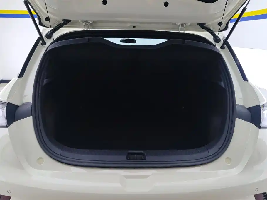 2026 BYD Dolphin