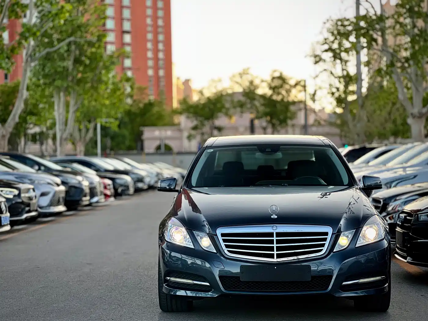 Mercedes-Benz E-Class 2010 E 300 L Fashion фото 2