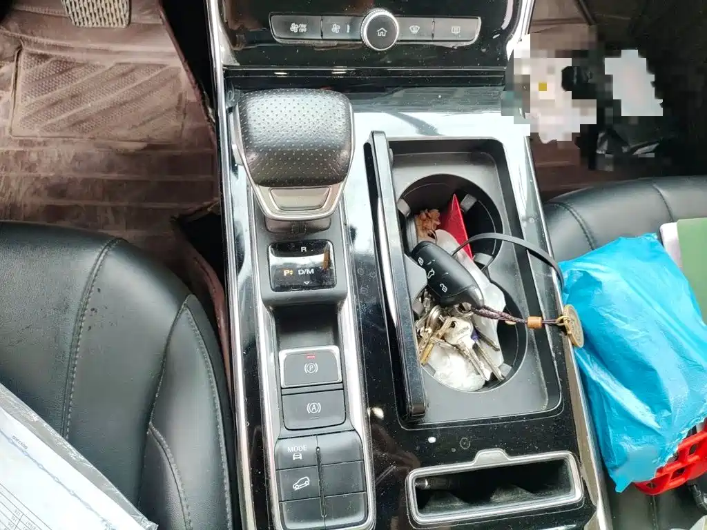 Roewe RX5 MAX 2020 2019 300TGI Automatic 4G Connected Luxury Edition
