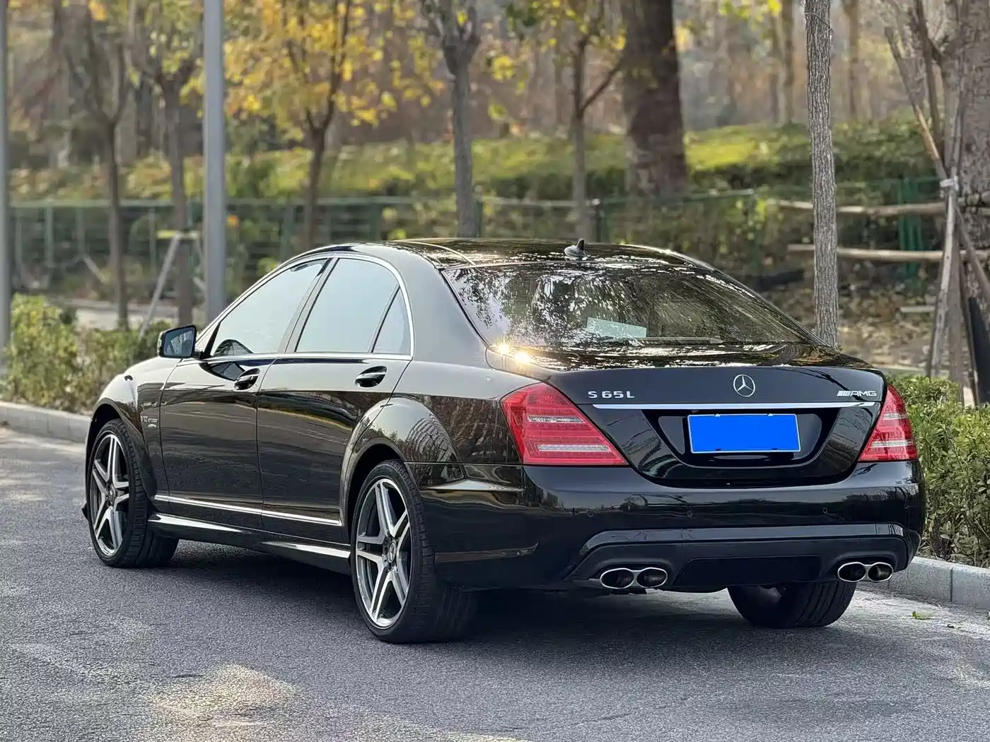 Mercedes-Benz S-Class AMG 2013 AMG S 65 L Grand Edition фото 4