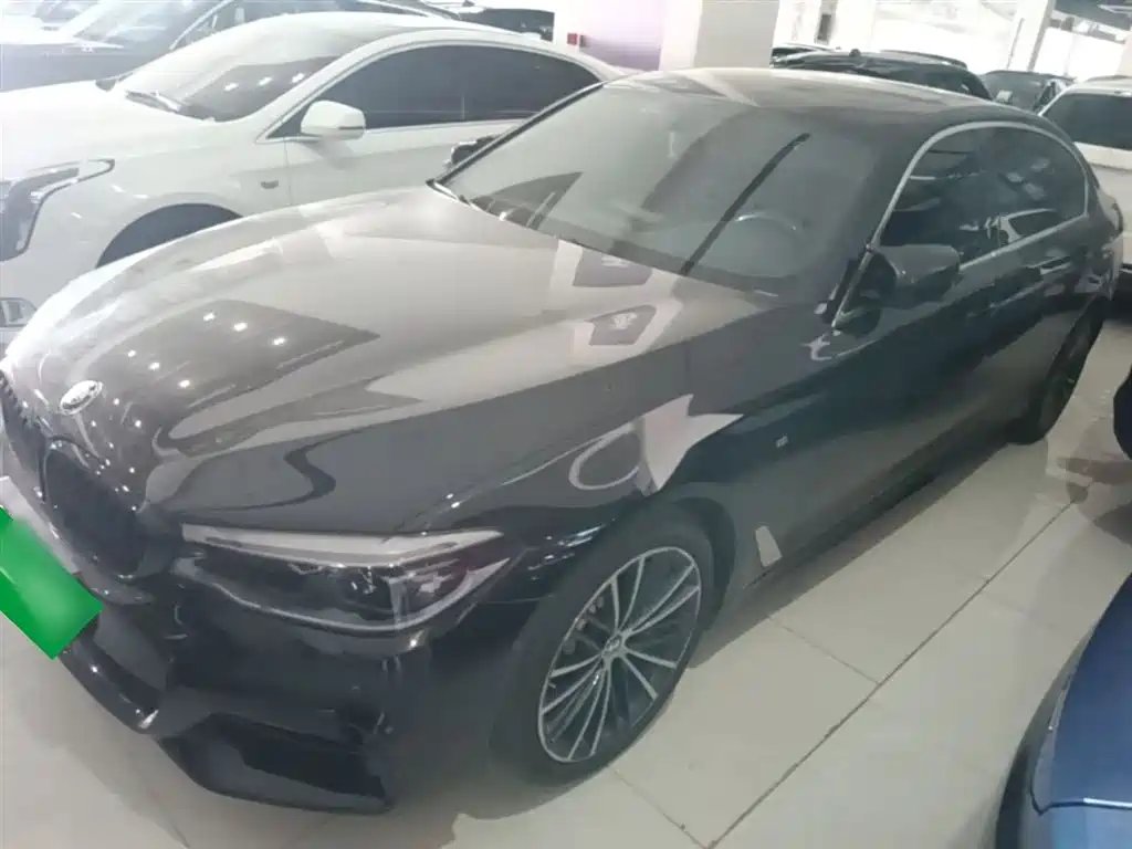 BMW 5 Series 2020 530Li Leading M Sport Package