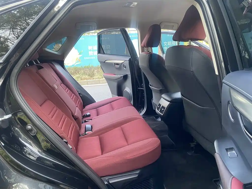 Lexus NX 2018 Model 200 FWD Fengxing Edition China V фото 11