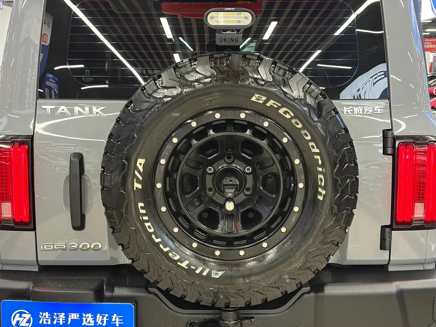 Tank 300 2022 2.0T Border Limited Edition фото 17