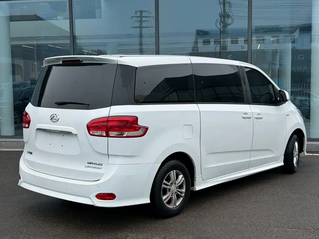 Фото 2 - Maxus G10