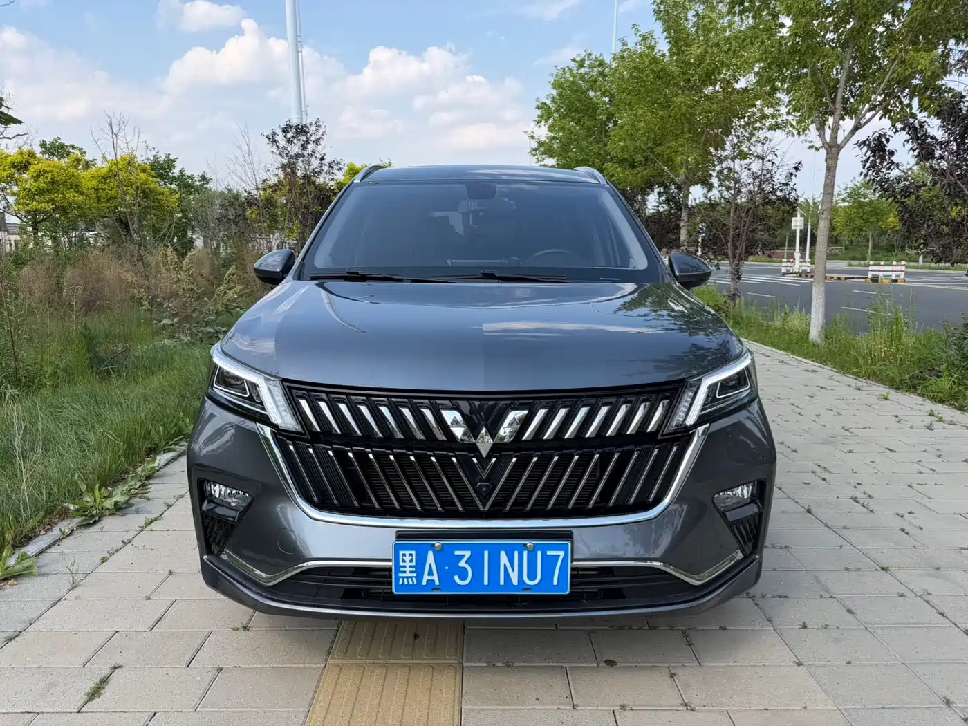 Wuling Motors Wuling Jiachen 2022 2022 1.5T CVT Exclusive Flagship Model