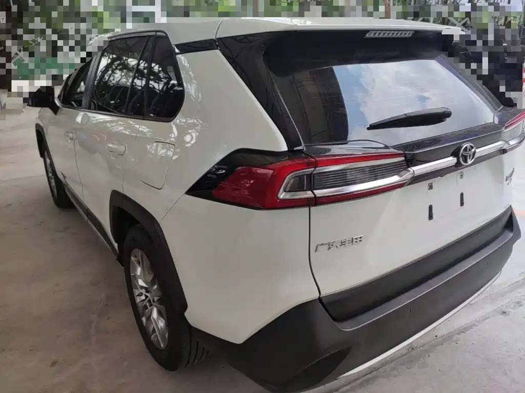 Toyota Wildlander 2021 2020 2.0L CVT AWD Luxury Edition
