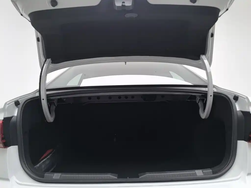 Volkswagen Bora 2024 2024 200TSI DSG Smooth Ride Edition