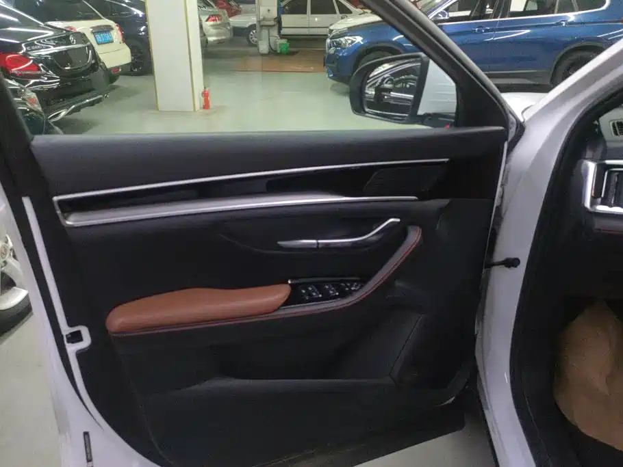 BYD Song PLUS 2021 2020 1.5T Auto Flagship PLUS