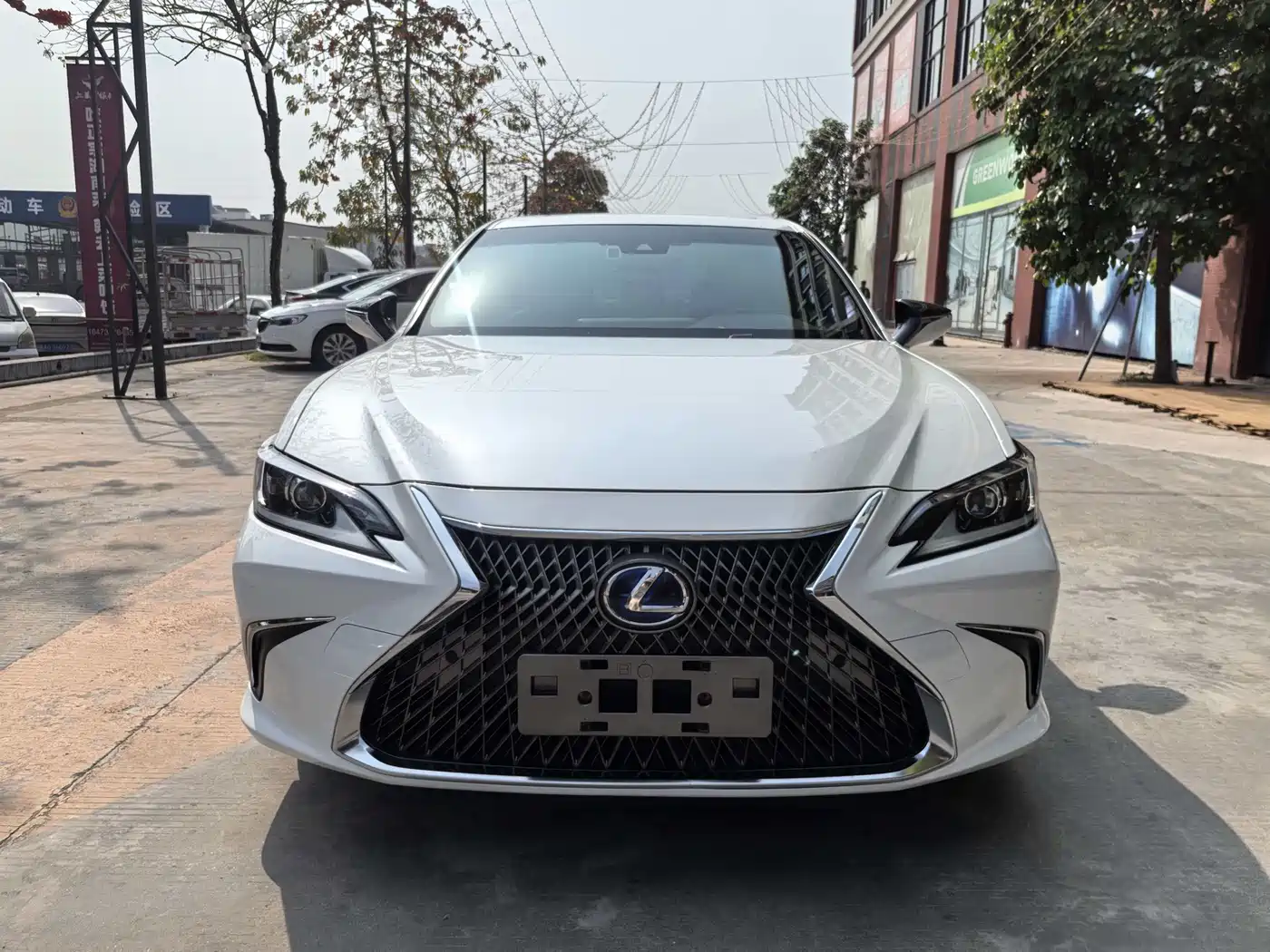 Lexus ES 2020 Model 300h Excellence Edition фото 2
