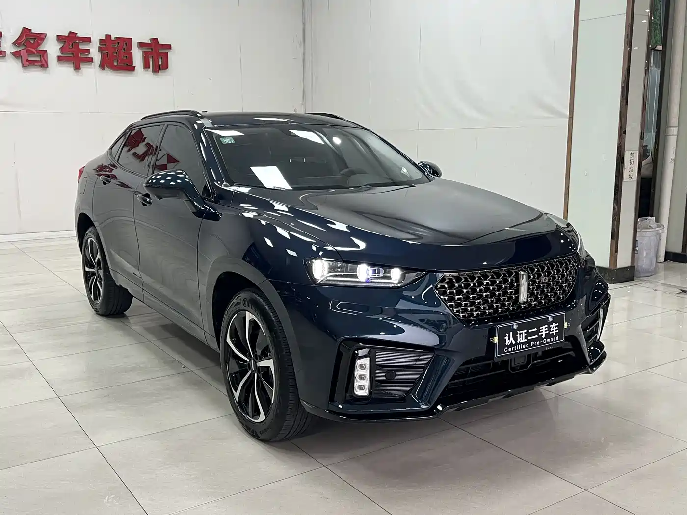 WEI PAI WEI BRAND VV7 GT