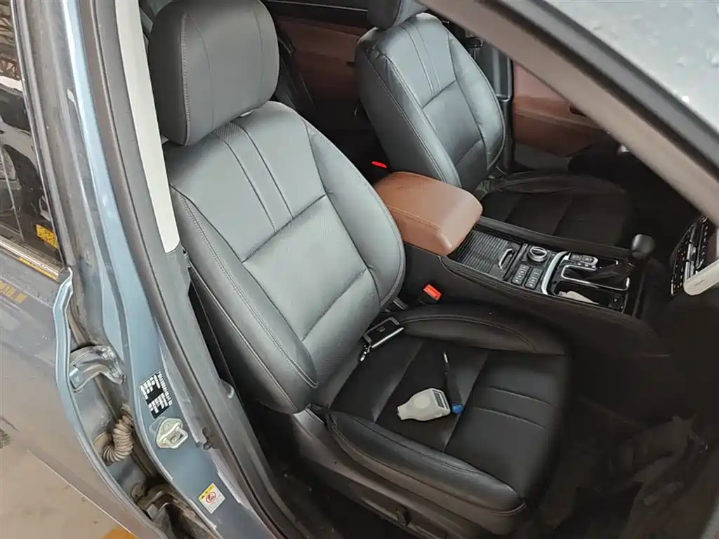 GAC Trumpchi Trumpchi GS8 2017 320T AWD Luxury Smart Connect (7-Seater) фото 25