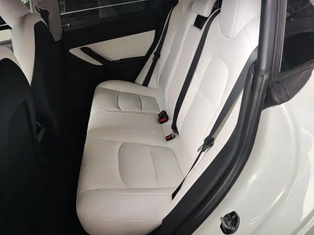 Tesla Model 3 2020 2020 Standard Range Rear-Wheel Drive Upgrade