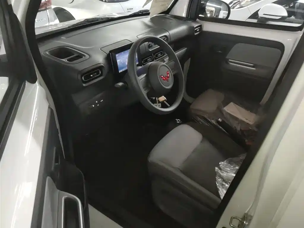 Wuling Motors Wuling Zhiguang NEV 2026 2025 Model 305km Base Version