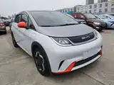 Фото 4 - BYD Dolphin