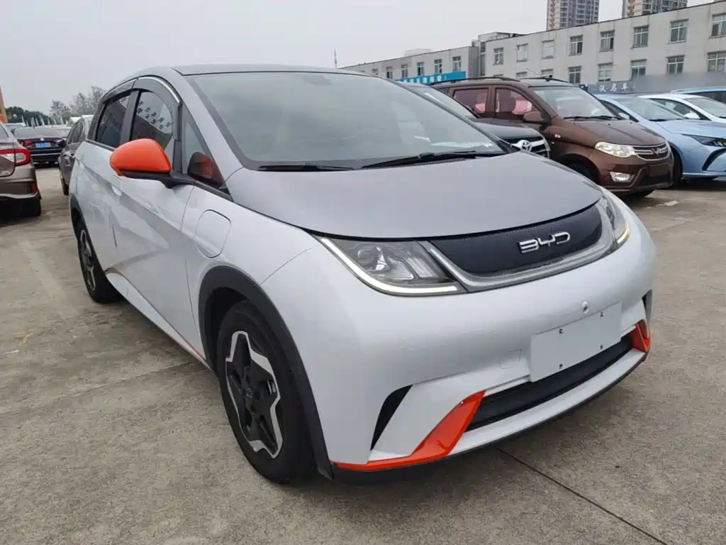 Фото 4 - BYD Dolphin