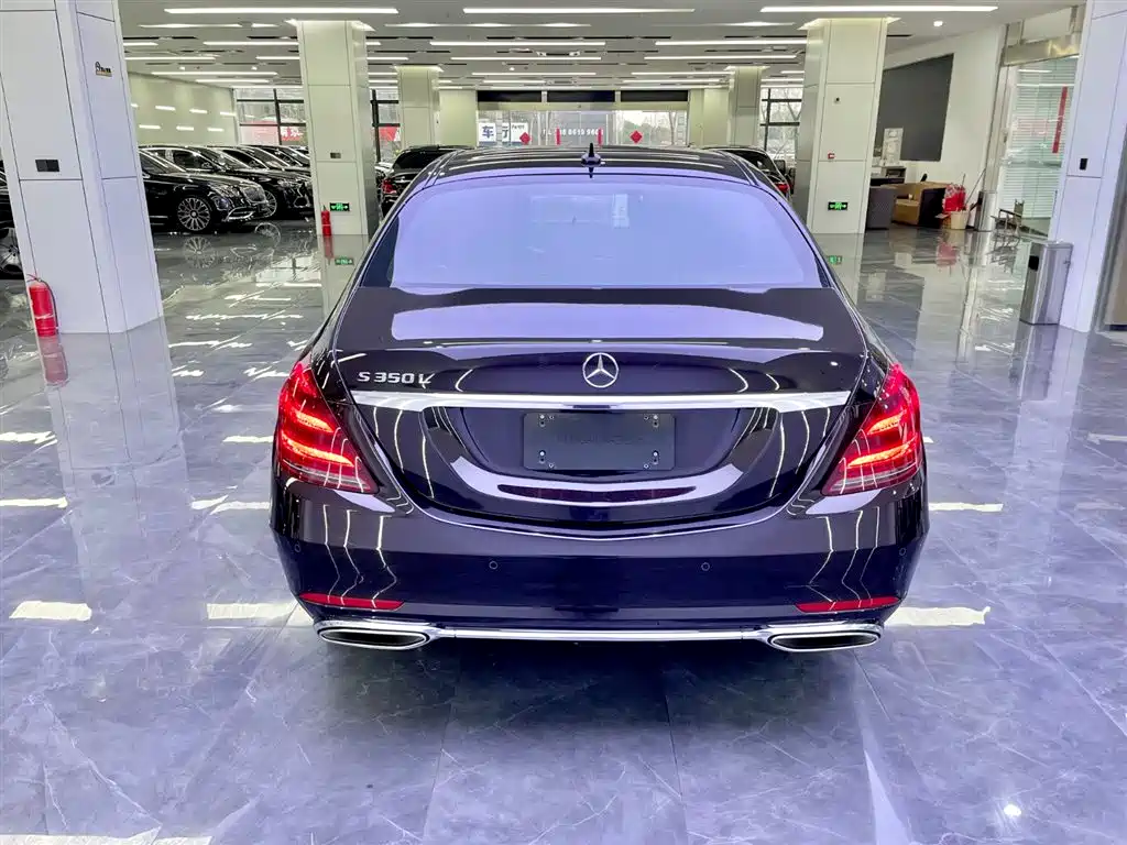 Mercedes-Benz S-Class 2020 S 350 L Premium Edition Collector's Version фото 5