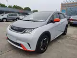 Фото 2 - BYD Dolphin