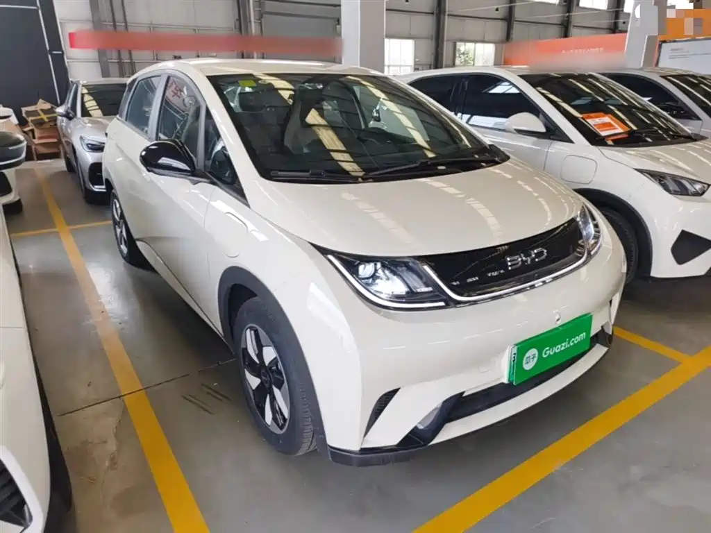 BYD Dolphin 2026 2025 420km Freedom Edition