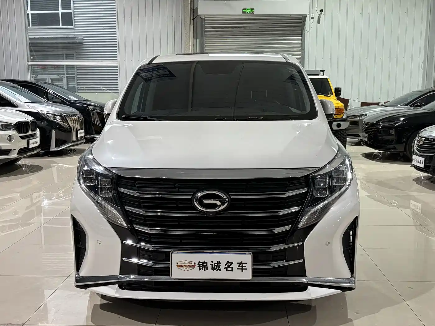 GAC Trumpchi Trumpchi M8 2021 Leading Show Series 390T Ultimate Edition фото 2