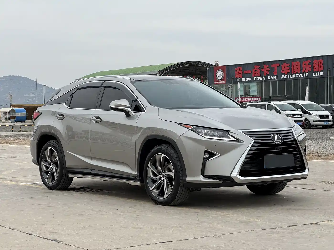 Lexus RX 2016 300 4WD Elegance Edition (China V) фото 3
