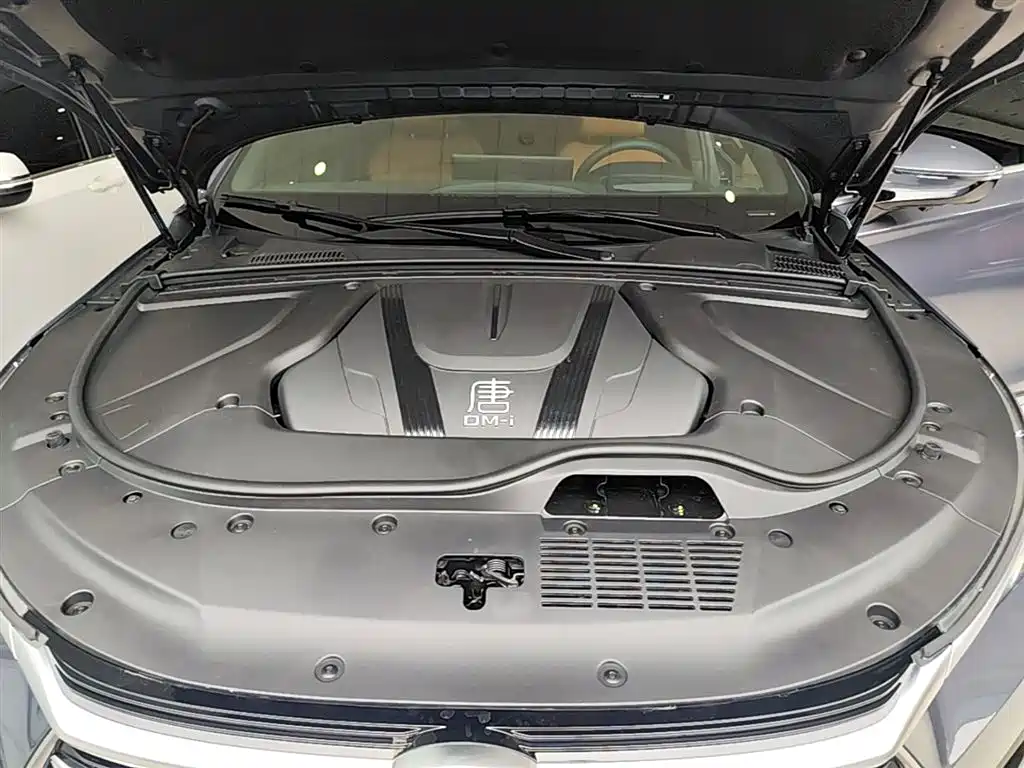 BYD Tang New Energy 2023 Model DM-i Champion Edition 112KM Premium фото 20