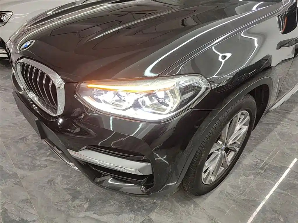 BMW X3 2019 xDrive25i Luxury Package фото 24