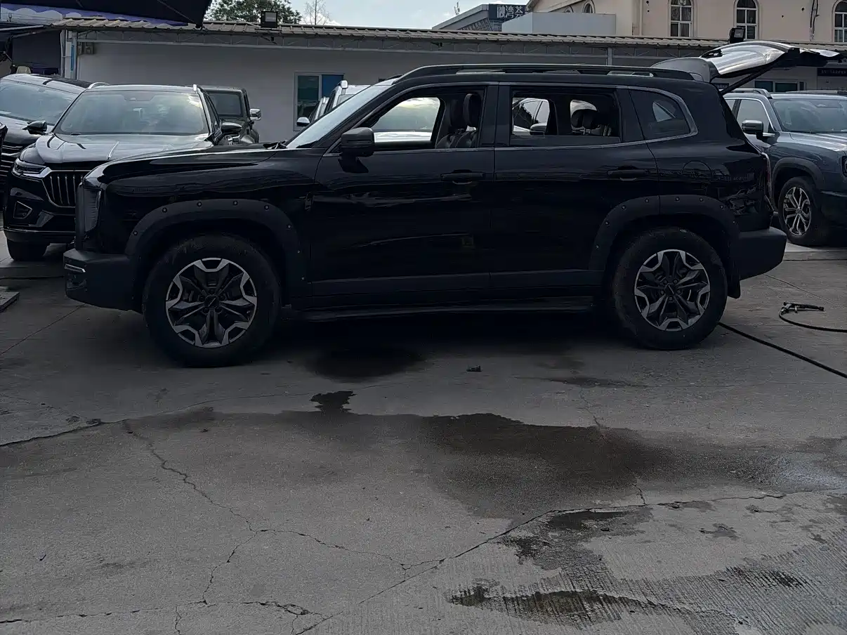 Haval Big Dog 2022 2.0T DCT AWD Chinese Pastoral Dog Edition фото 16