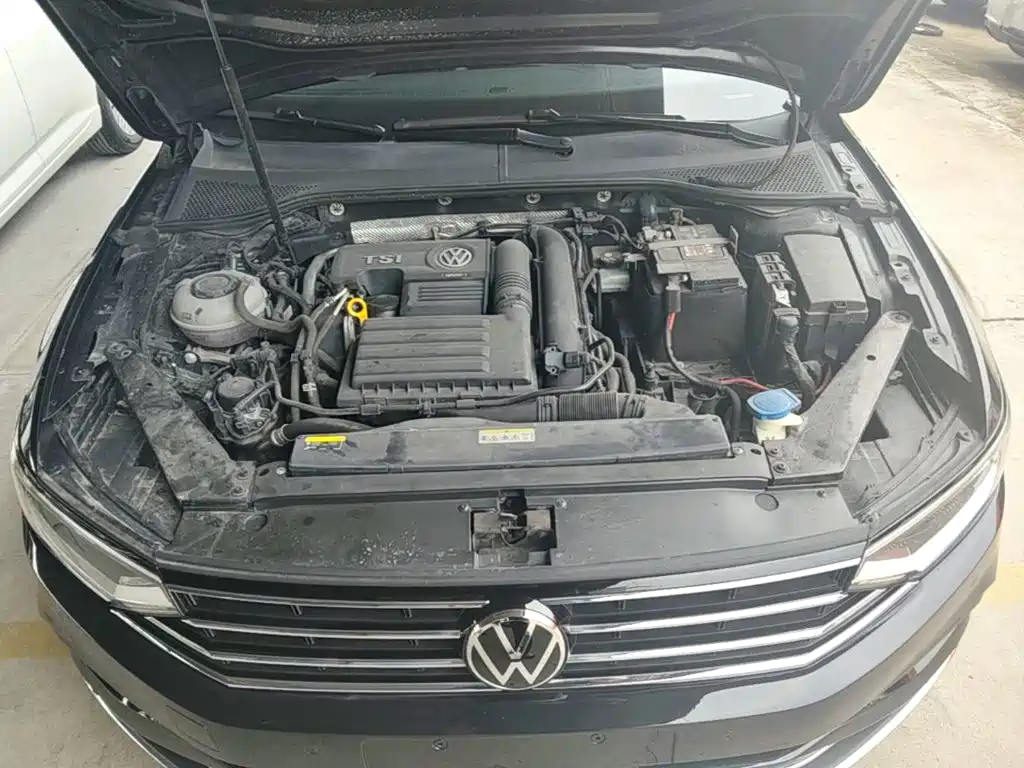 Volkswagen Magotan, миниатюра 20