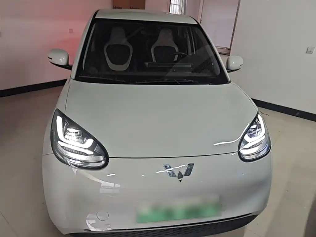 Wuling Motors Wuling Bingo 2023 Model 333km Joy+ Version