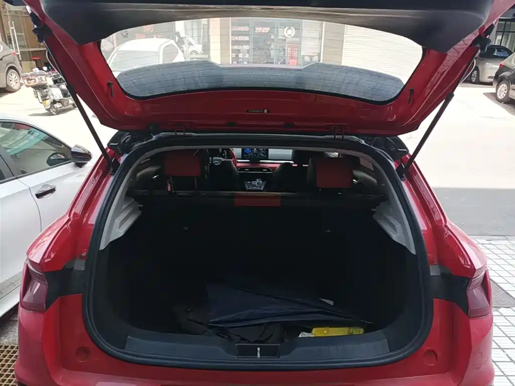 BYD e2 2020 Upgraded Long Range Luxury фото 19