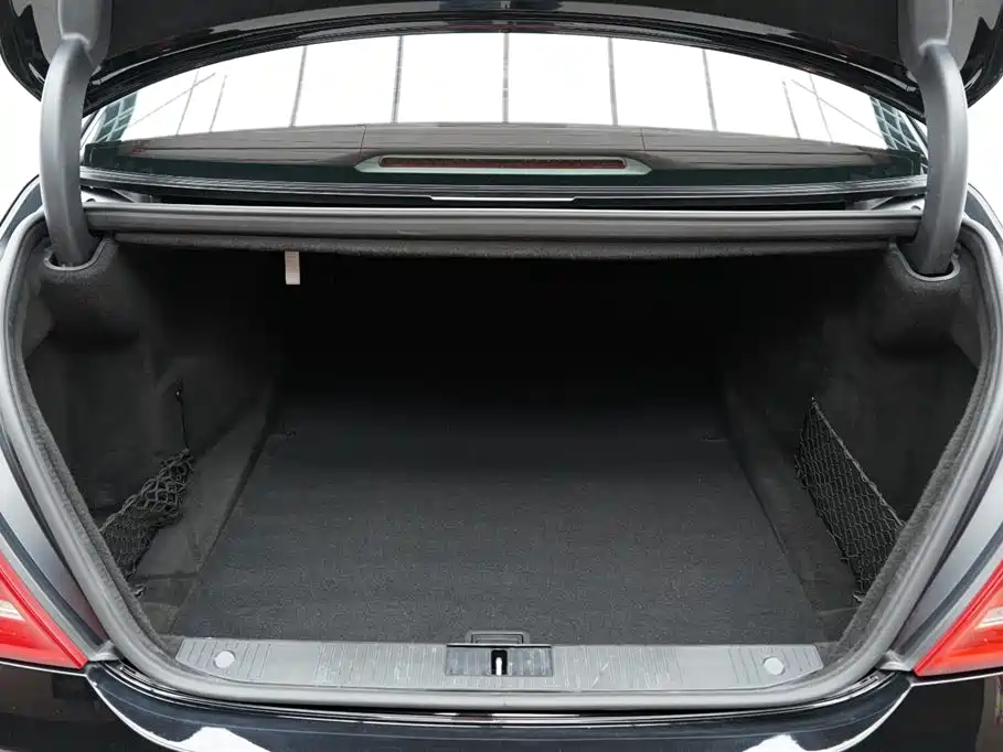Mercedes-Benz S-Class 2010 S 300 L Luxury фото 30