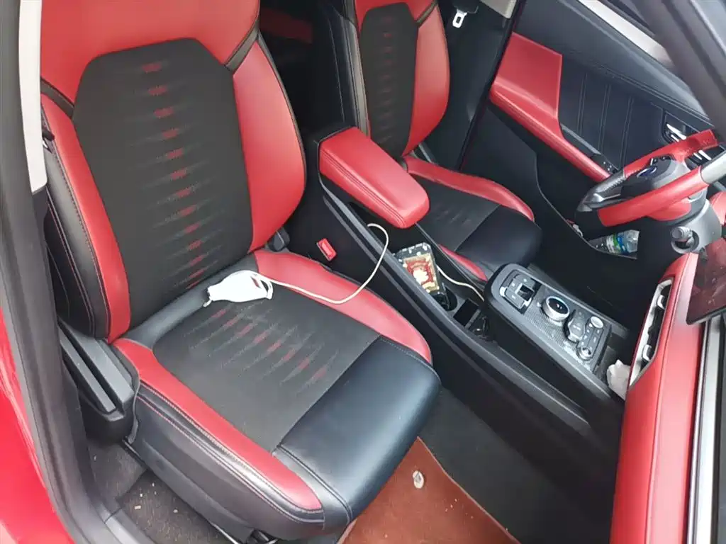 BYD e2 2020 Upgraded Long Range Luxury фото 25