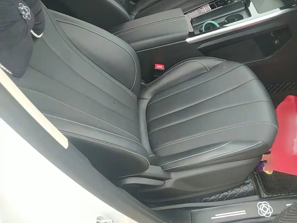 Roewe RX5 MAX 2024 2022 1.5T Auto Promising Luxury Edition