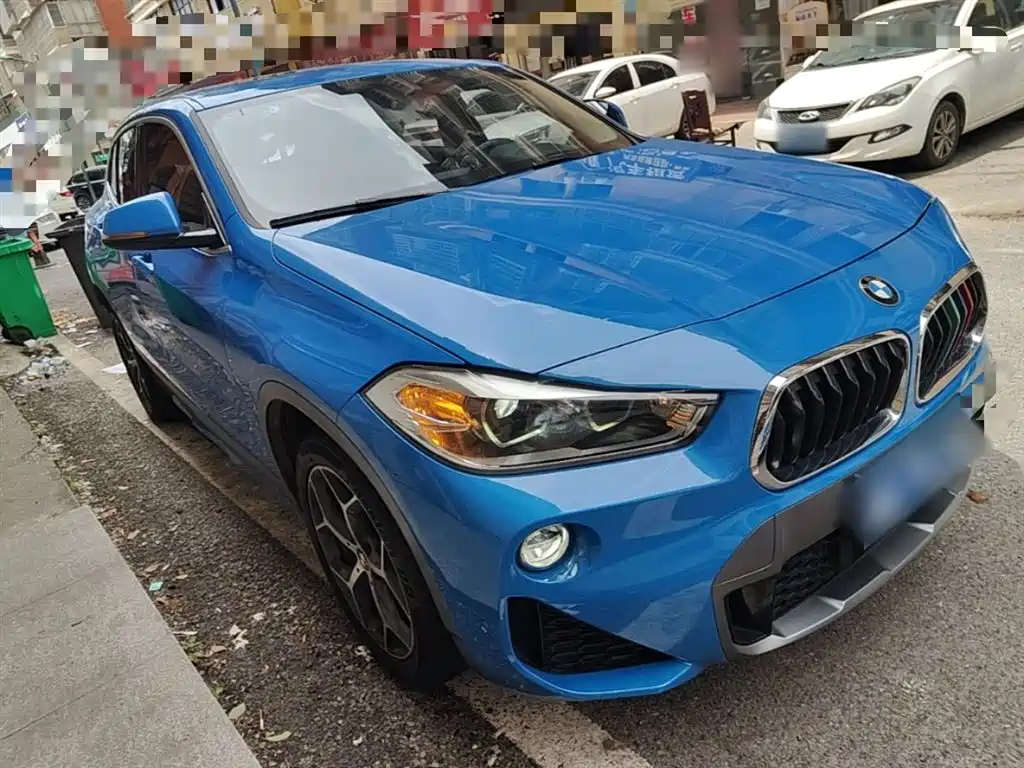 BMW X2 (Import) 2019 sDrive20i M Off-Road Package China VI фото 4