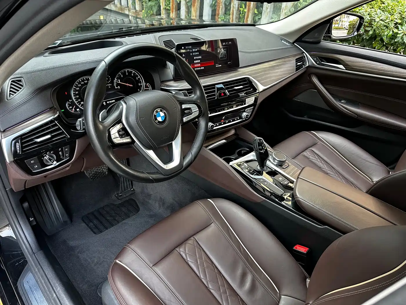 BMW 5 Series 2018 Facelift 530Li Exclusive Luxury Package фото 16
