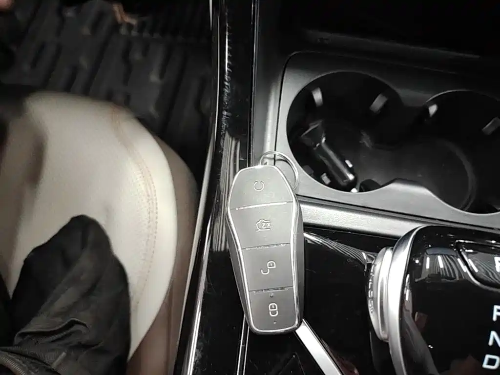 BYD Qin PLUS 2024 Glory Edition DM-i 55KM Leading фото 9